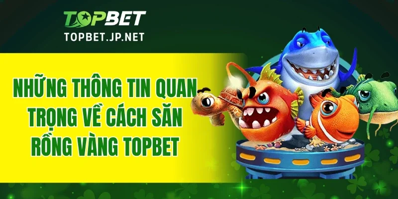 Những thông tin quan trọng về cách săn Rồng Vàng TOPBET